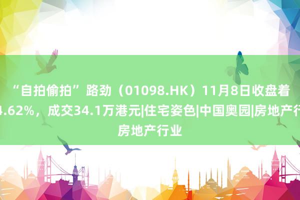 “自拍偷拍” 路劲（01098.HK）11月8日收盘着落4.62%，成交34.1万港元|住宅姿色|中国奥园|房地产行业