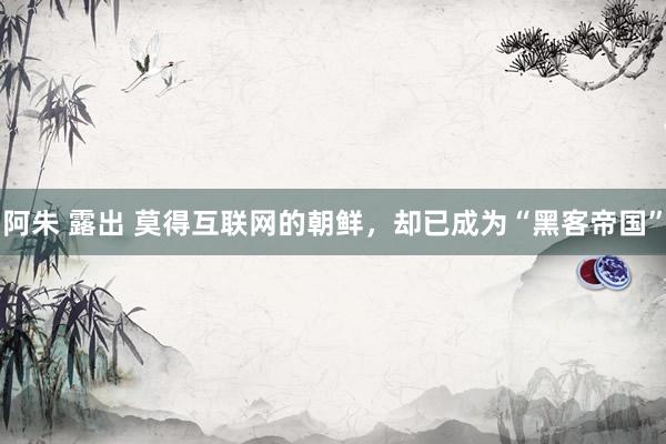 阿朱 露出 莫得互联网的朝鲜，却已成为“黑客帝国”