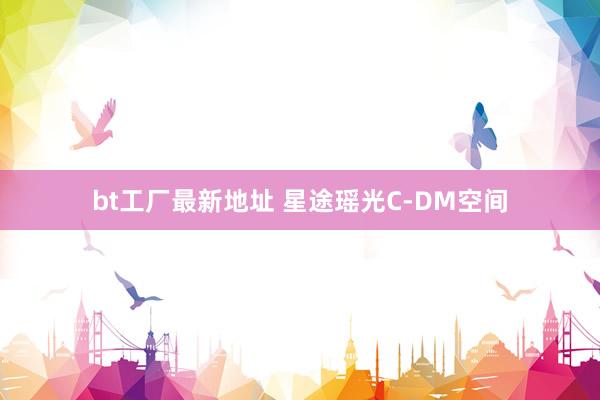 bt工厂最新地址 星途瑶光C-DM空间