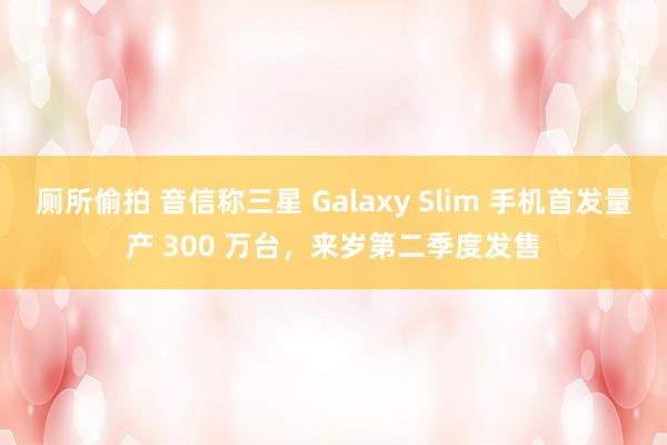 厕所偷拍 音信称三星 Galaxy Slim 手机首发量产 300 万台，来岁第二季度发售