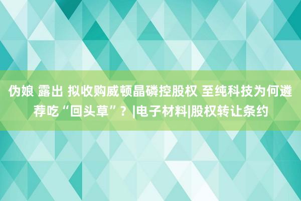 伪娘 露出 拟收购威顿晶磷控股权 至纯科技为何遴荐吃“回头草”？|电子材料|股权转让条约
