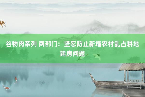 谷物肉系列 两部门：坚忍防止新增农村乱占耕地建房问题