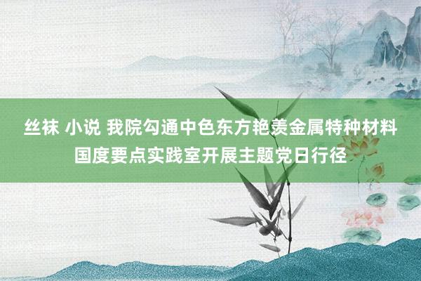 丝袜 小说 我院勾通中色东方艳羡金属特种材料国度要点实践室开展主题党日行径