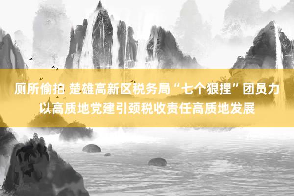 厕所偷拍 楚雄高新区税务局“七个狠捏”团员力以高质地党建引颈税收责任高质地发展