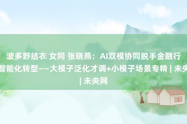 波多野结衣 女同 张晓燕：AI双模协同脱手金融行业智能化转型——大模子泛化才调+小模子场景专精 | 未央网