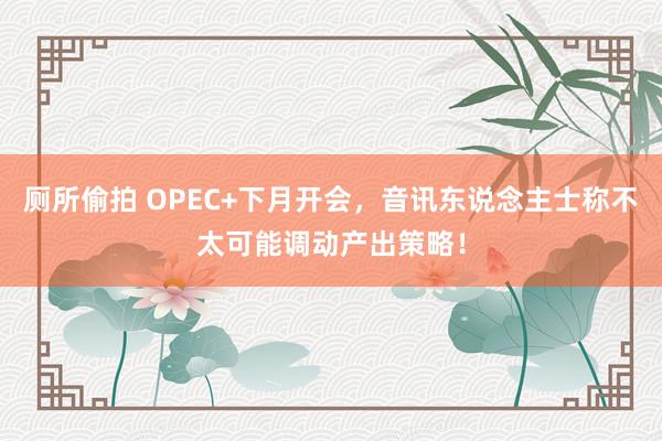 厕所偷拍 OPEC+下月开会，音讯东说念主士称不太可能调动产出策略！