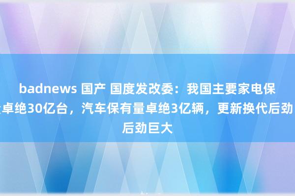 badnews 国产 国度发改委：我国主要家电保有量卓绝30亿台，汽车保有量卓绝3亿辆，更新换代后劲巨大