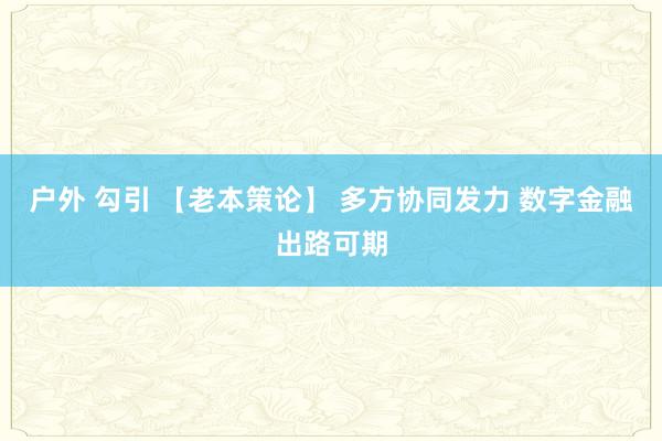 户外 勾引 【老本策论】 多方协同发力 数字金融出路可期
