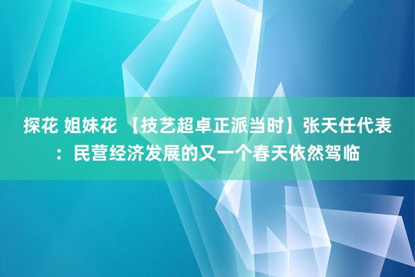 探花 姐妹花 【技艺超卓正派当时】张天任代表：民营经济发展的又一个春天依然驾临