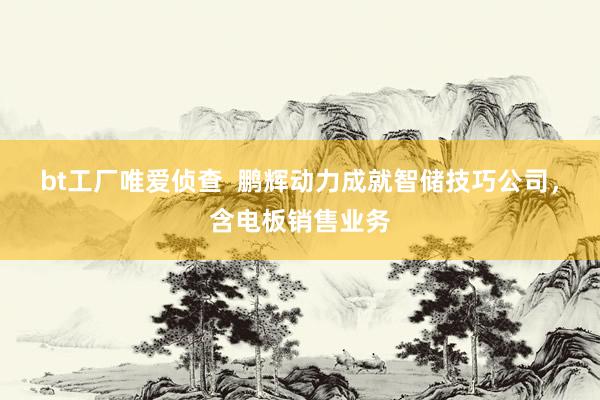 bt工厂唯爱侦查  鹏辉动力成就智储技巧公司，含电板销售业务