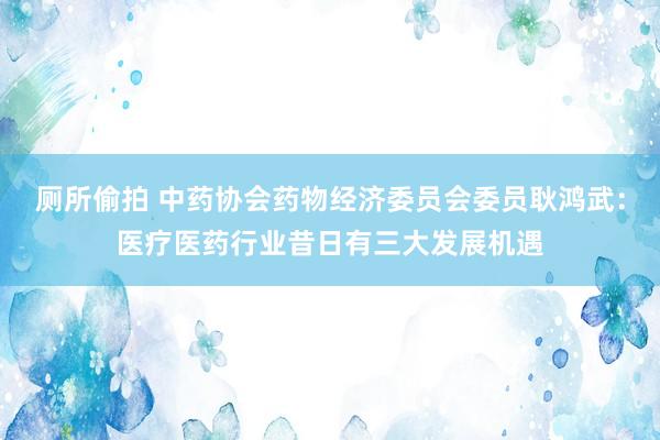 厕所偷拍 中药协会药物经济委员会委员耿鸿武：医疗医药行业昔日有三大发展机遇