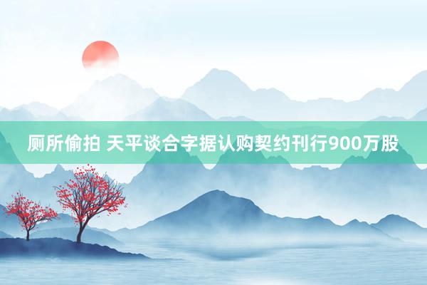 厕所偷拍 天平谈合字据认购契约刊行900万股
